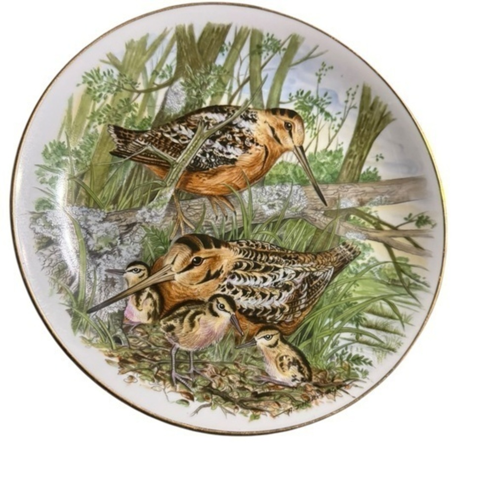 Southern Living Gallery Game Birds of the South, American Woodchuck